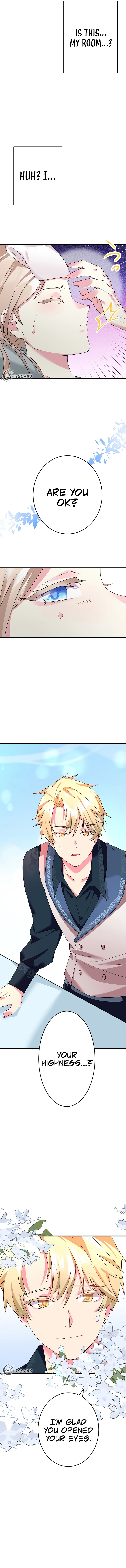 Chapter 21 - Image 15