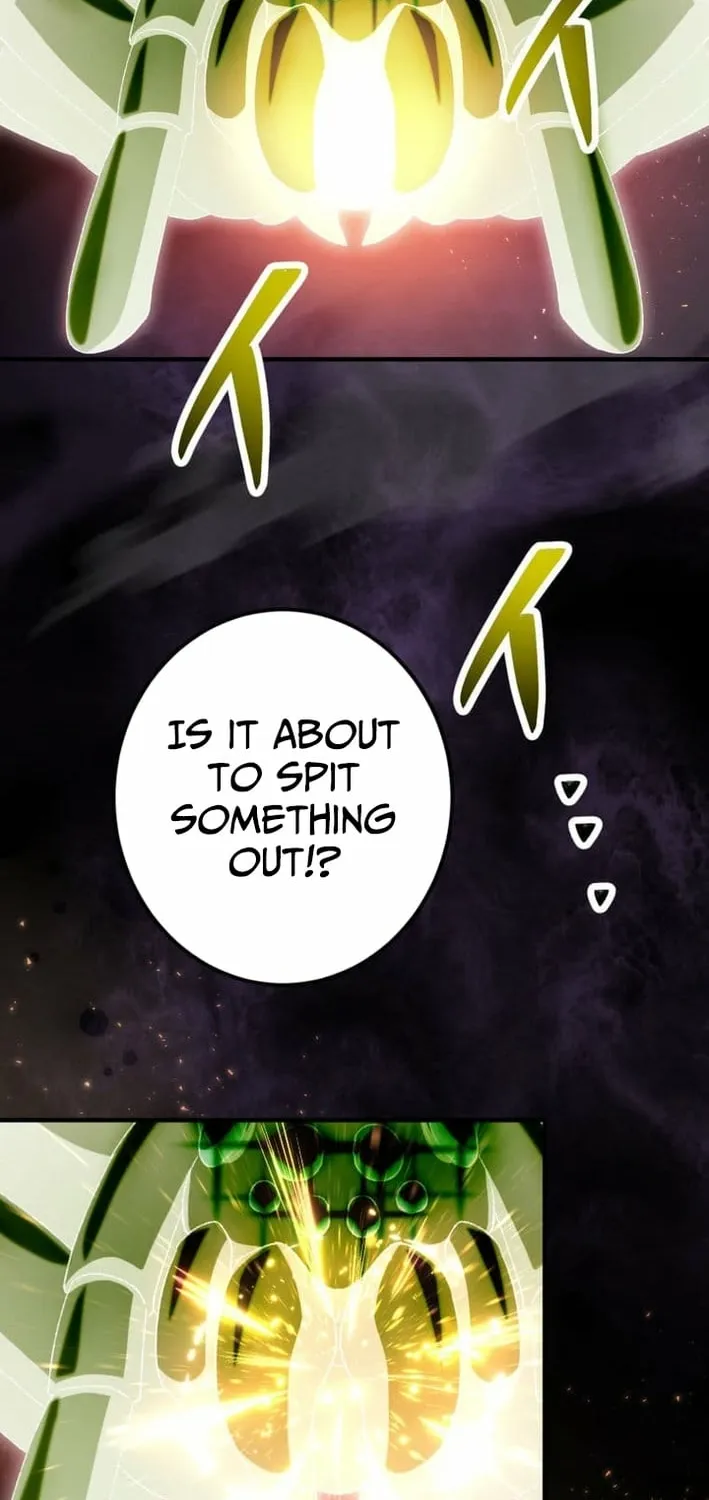 Chapter 2 - Image 14