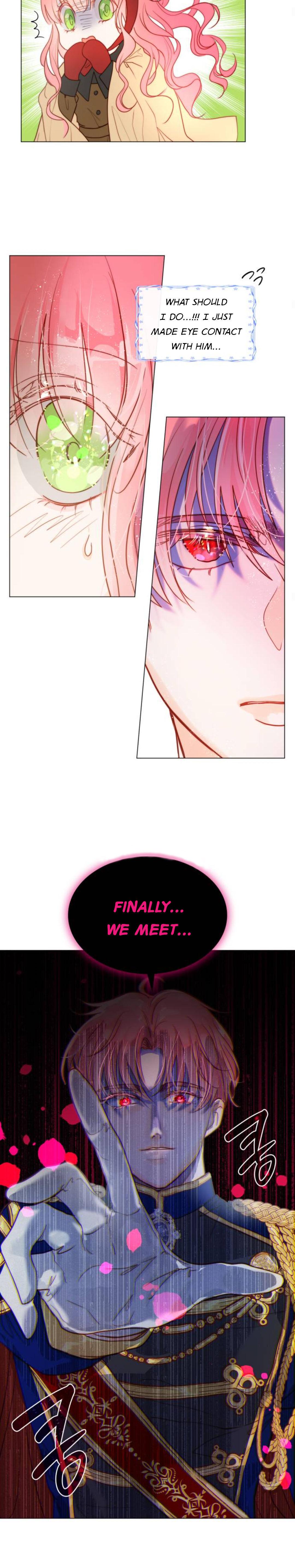 Chapter 3 - Image 17