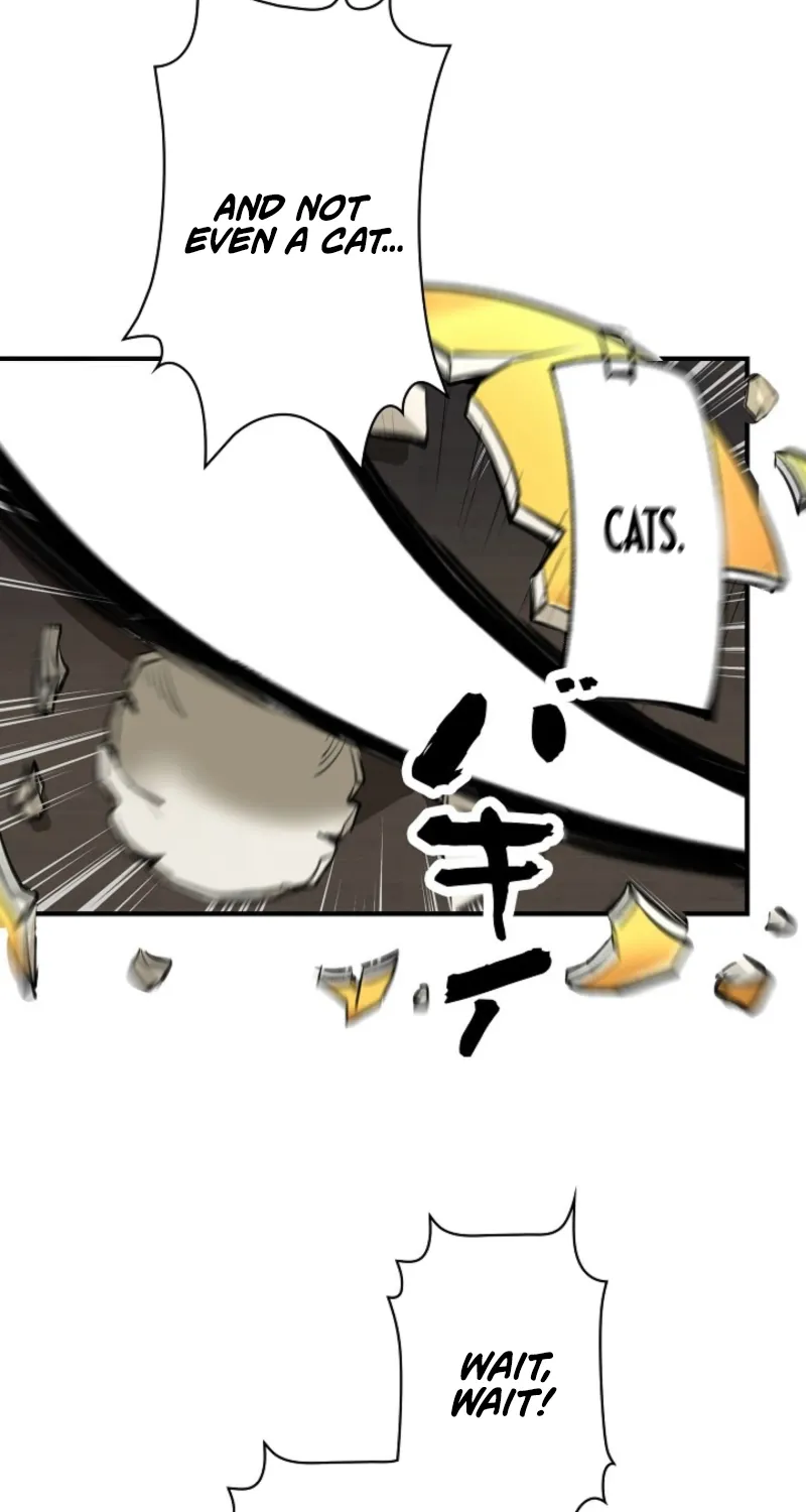 Chapter 1 - Image 36
