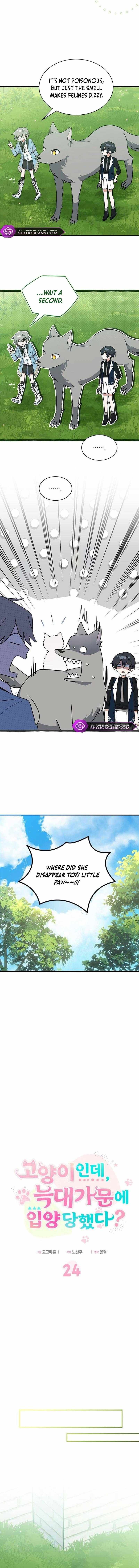 Chapter 24 - Image 6