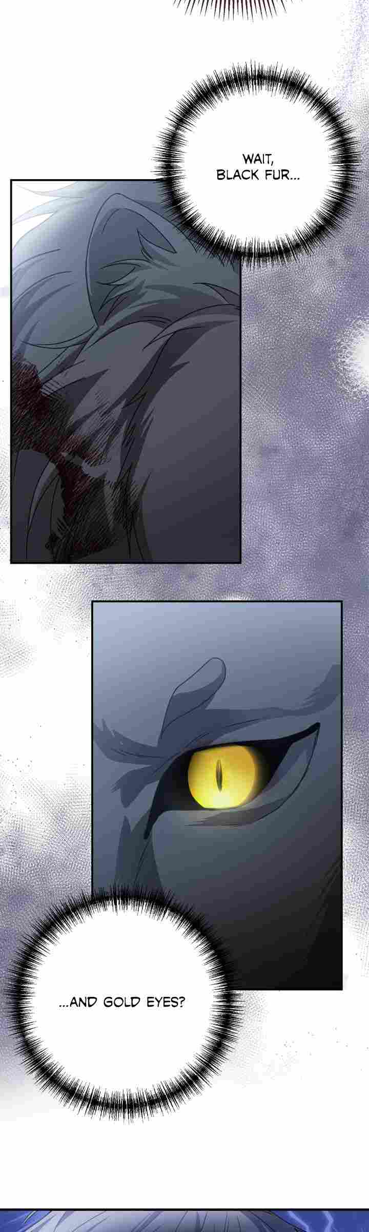 Chapter 1 - Image 56