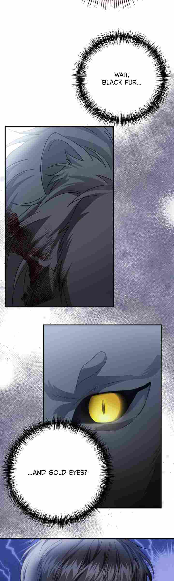 Chapter 1 - Image 61