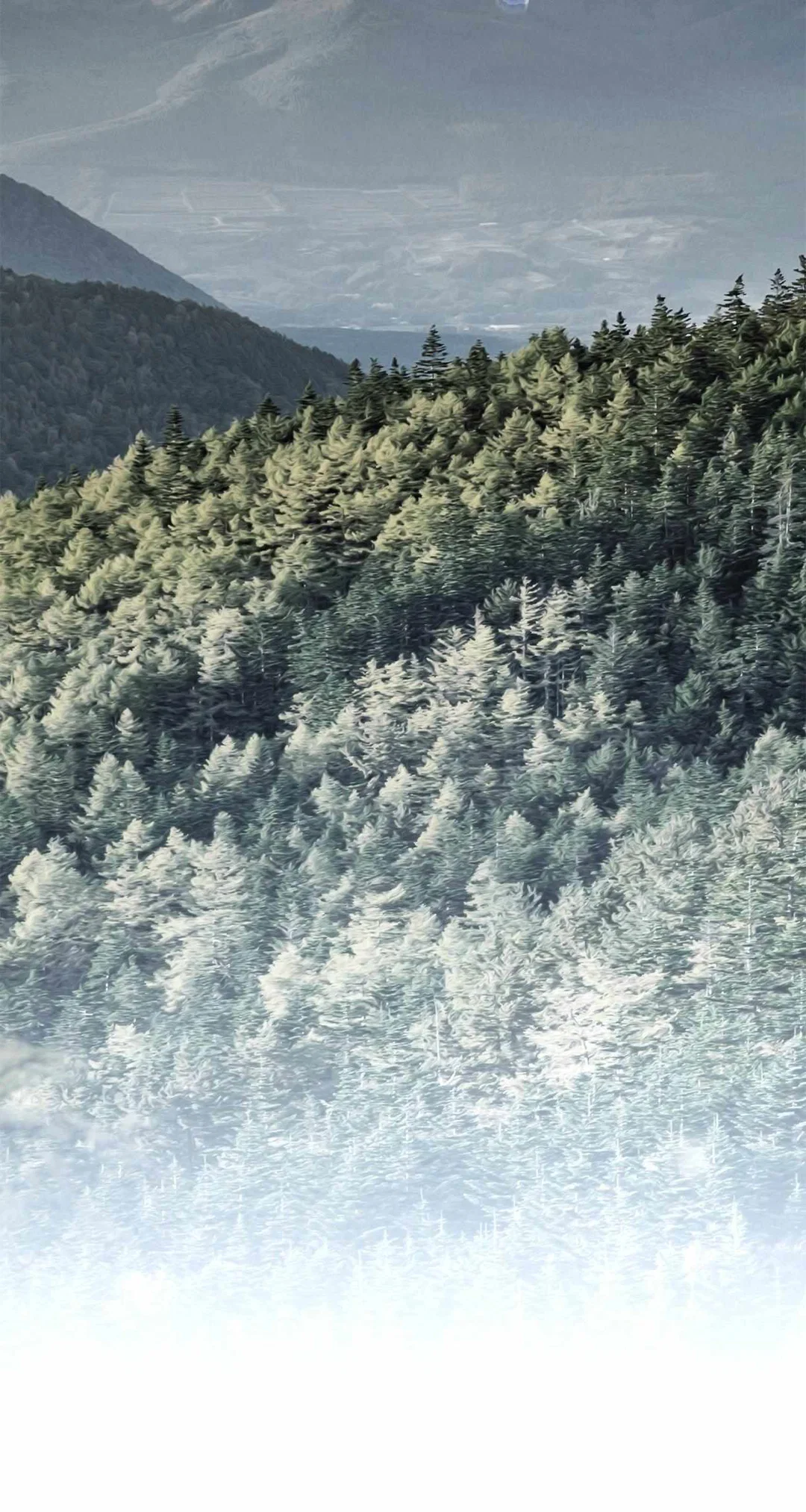 Chapter 25 - Image 43