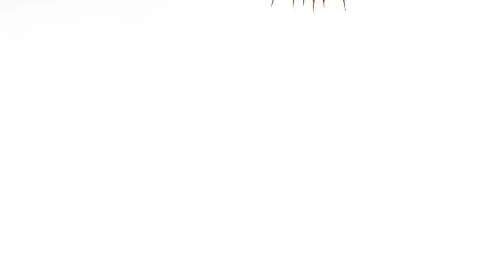 Chapter 26 - Image 77