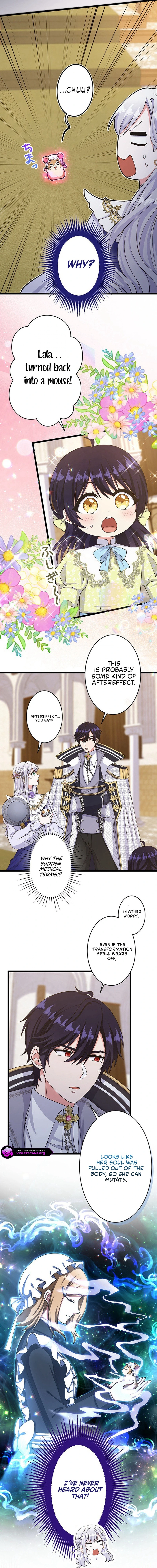 Chapter 63 - Image 5