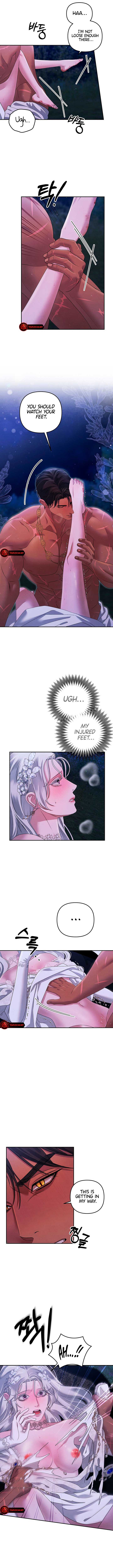 Chapter 22 - Image 3