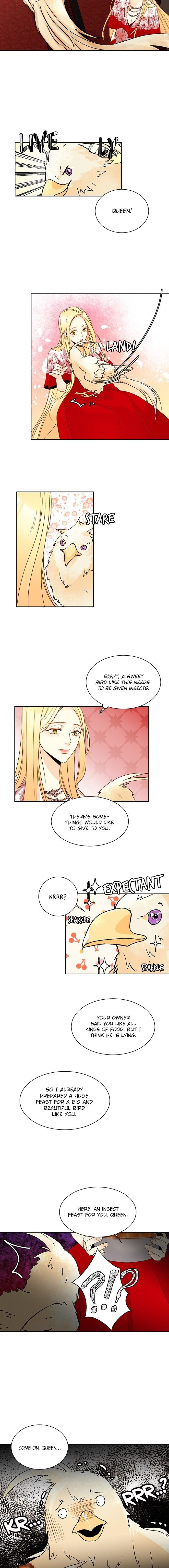 Chapter 17 - Image 6