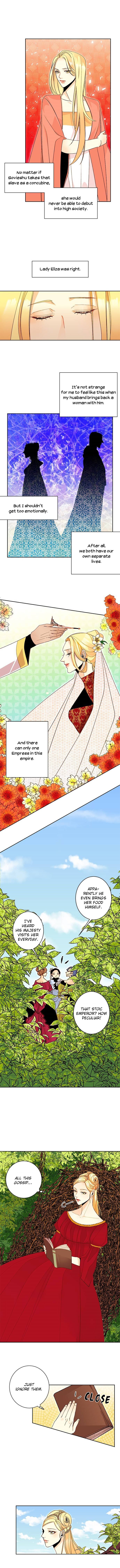 Chapter 2 - Image 6