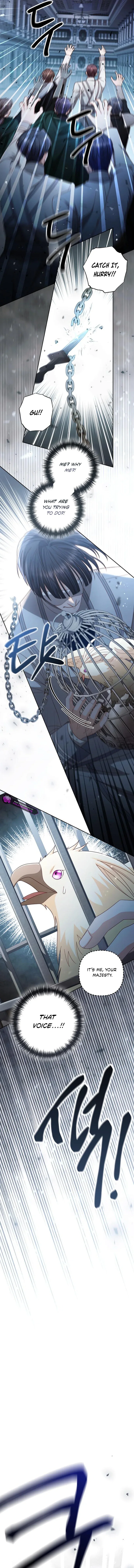 Chapter 232 - Image 6