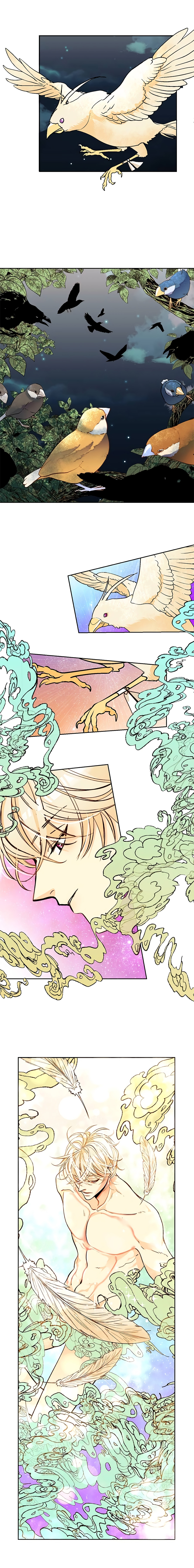 Chapter 8 - Image 6