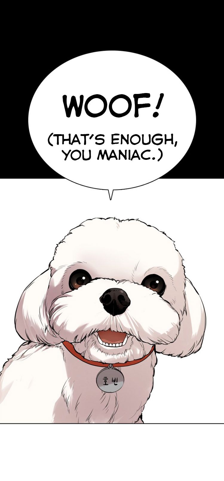 Chapter 13 - Image 19