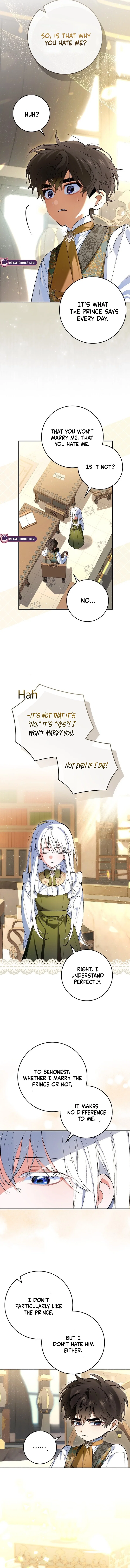 Chapter 2 - Image 4