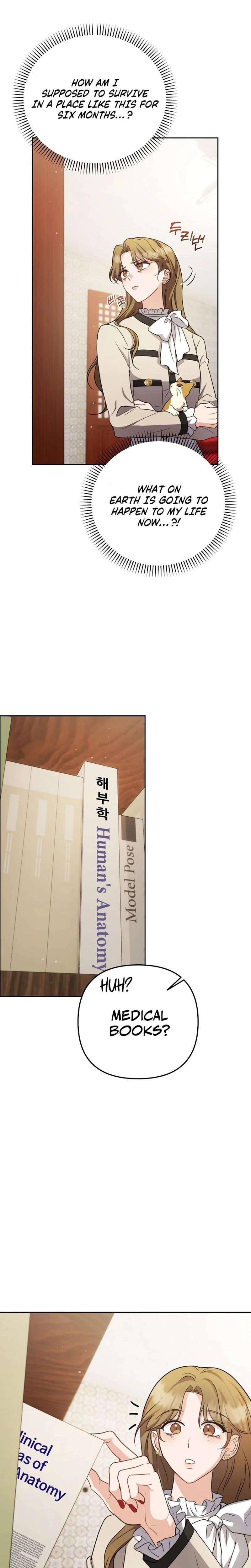 Chapter 3 - Image 15