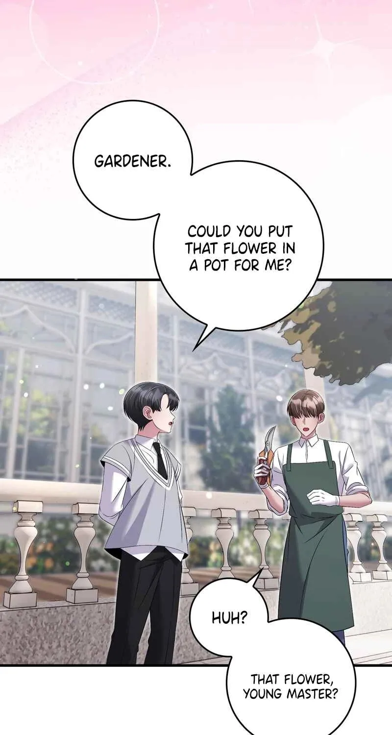 Chapter 14 - Image 16