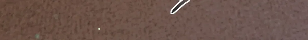 Chapter 21 - Image 89