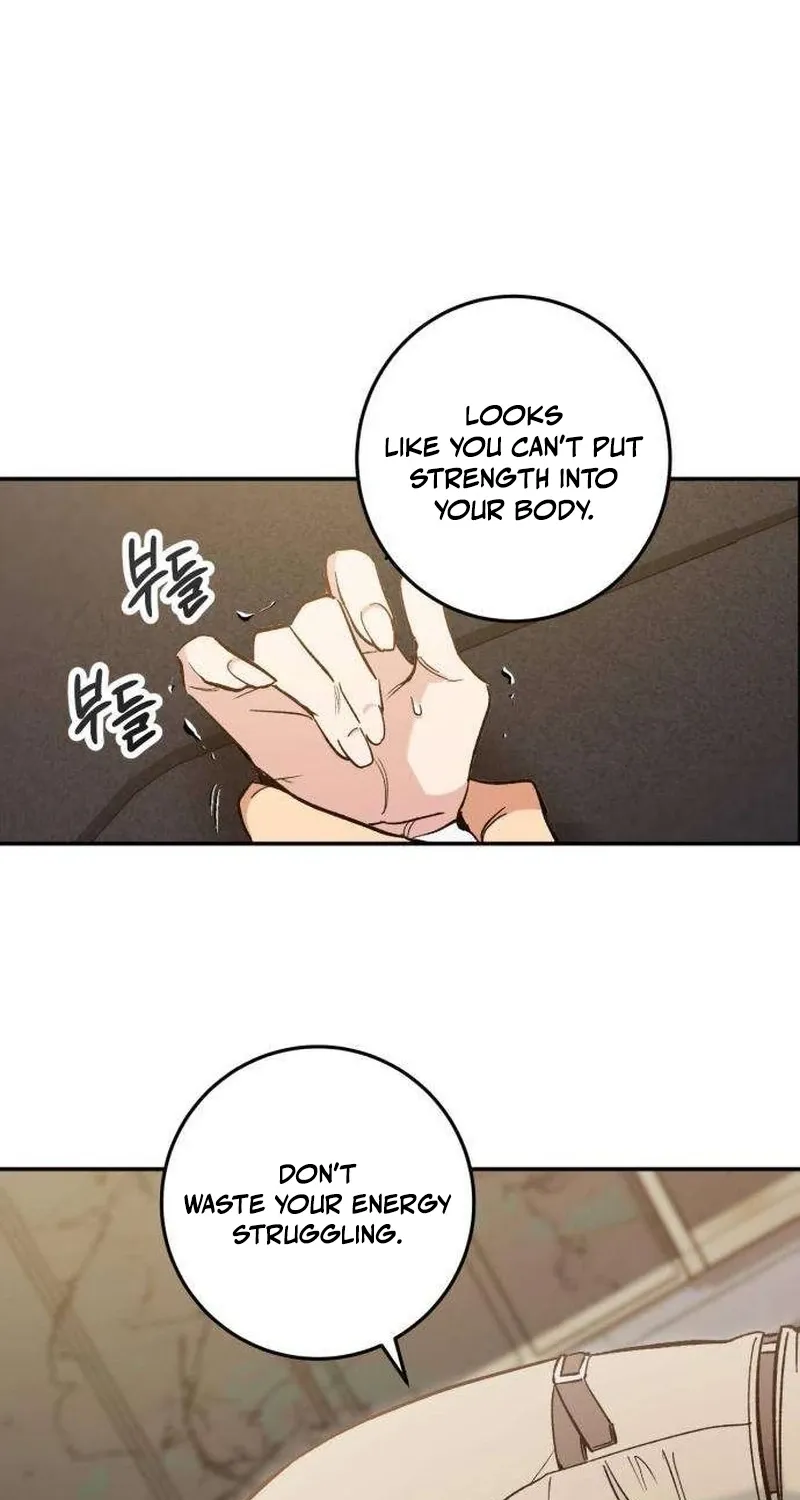 Chapter 2 - Image 26