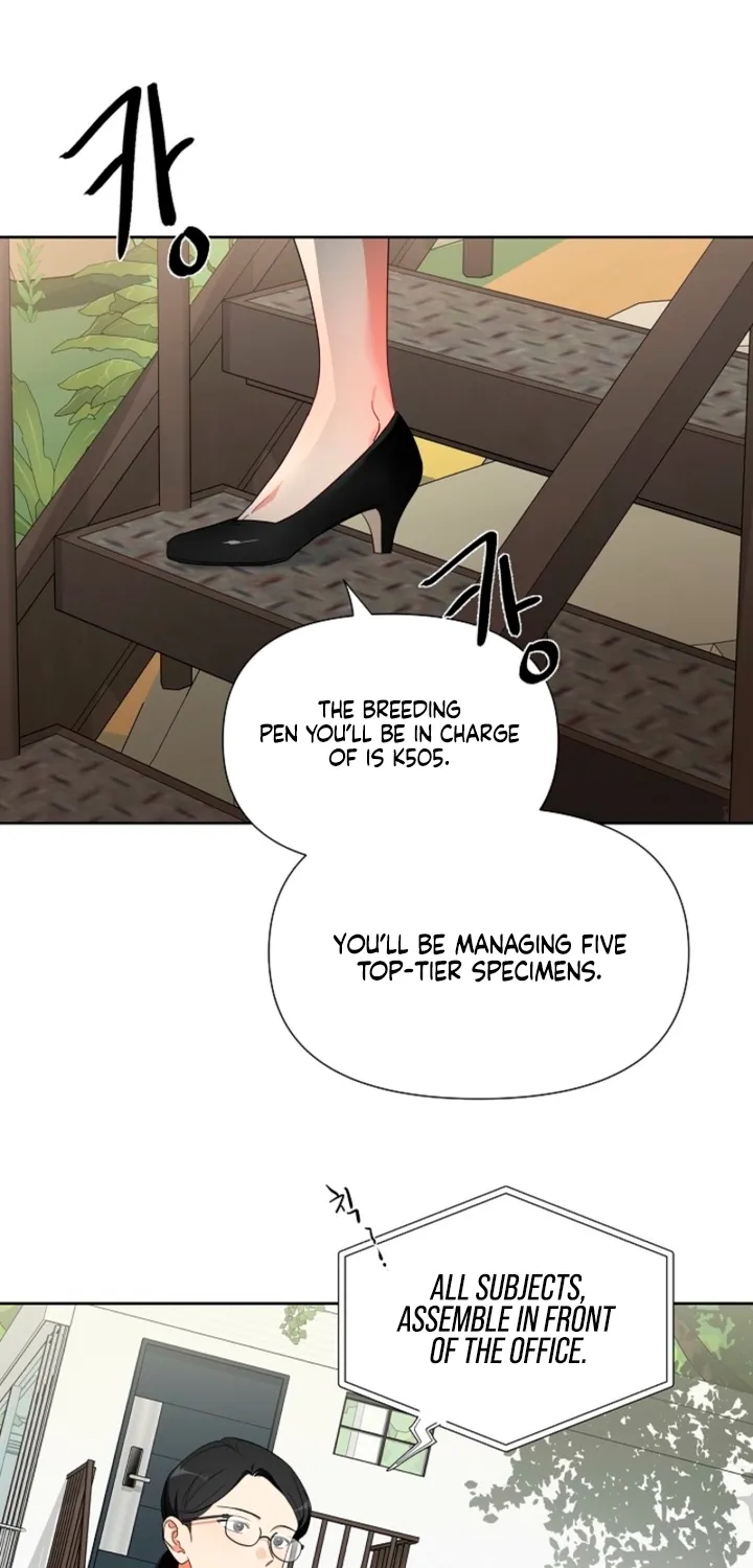 Chapter 1 - Image 23