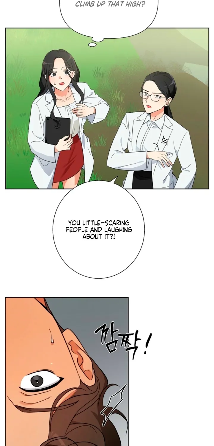 Chapter 1 - Image 29