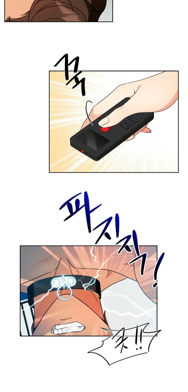 Chapter 1 - Image 30