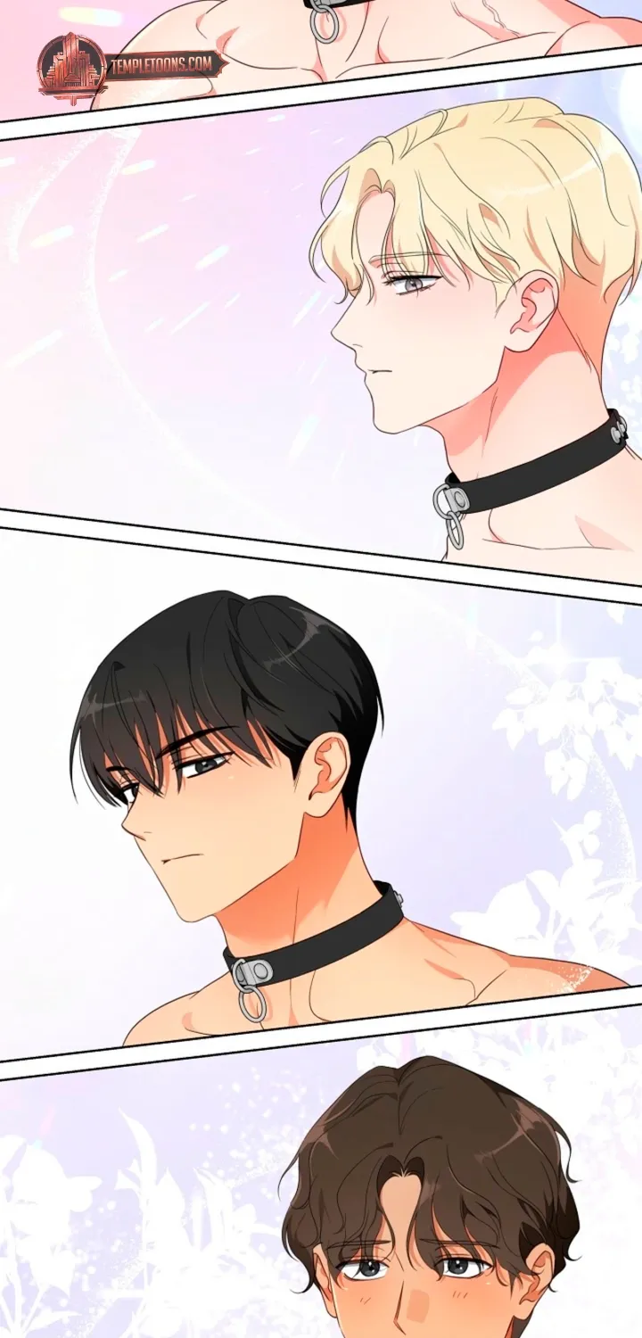 Chapter 1 - Image 37