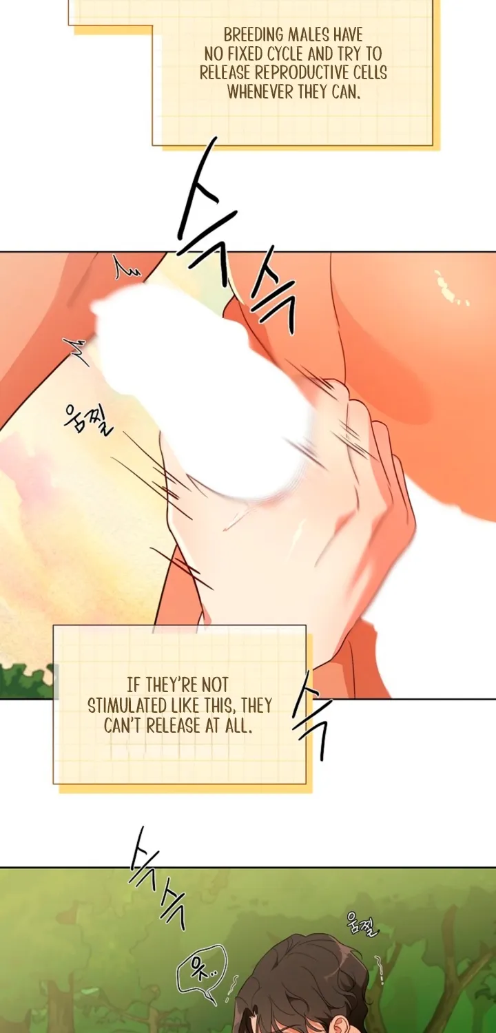 Chapter 1 - Image 42