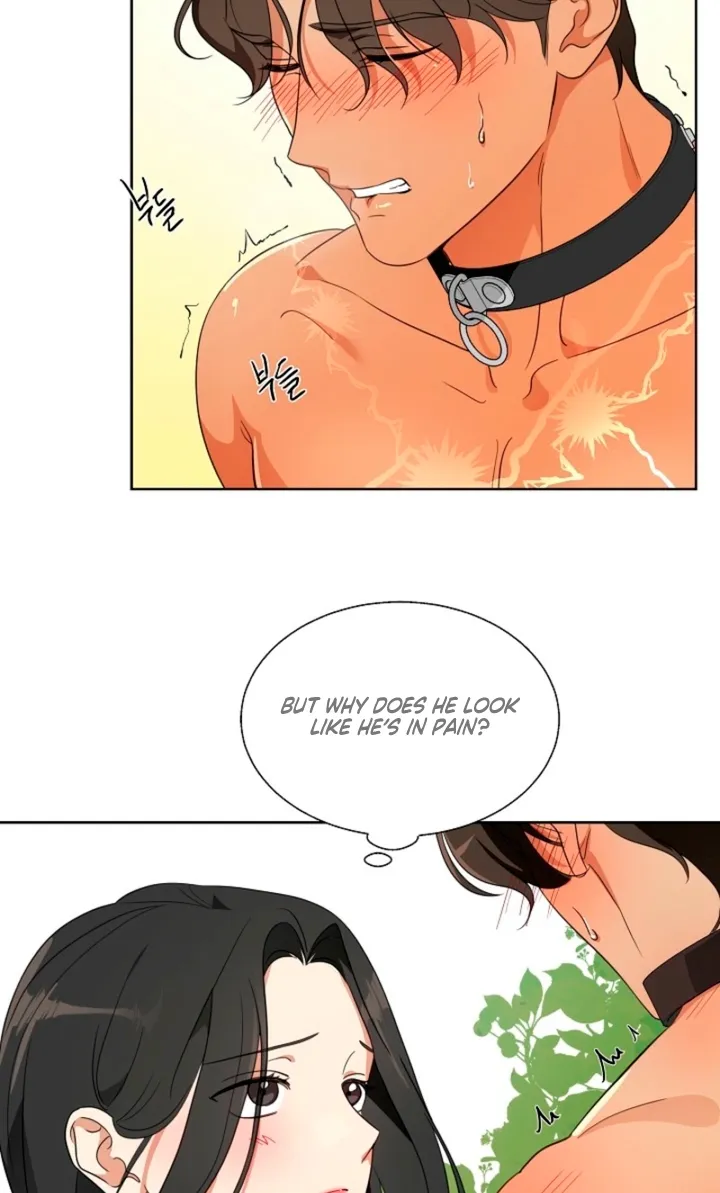 Chapter 1 - Image 44