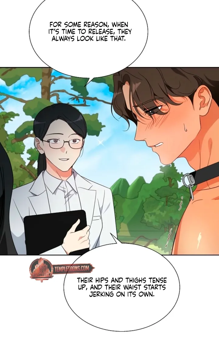 Chapter 1 - Image 48