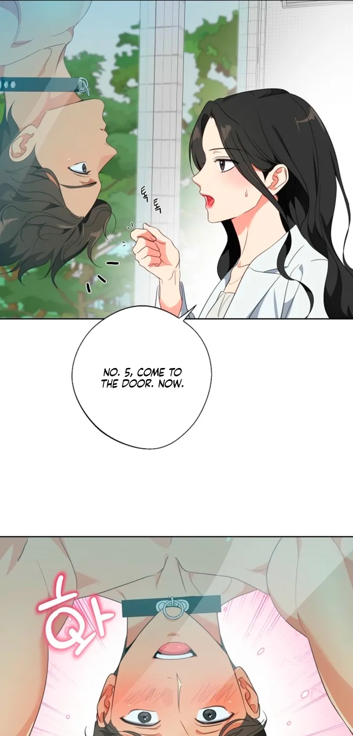 Chapter 1 - Image 65