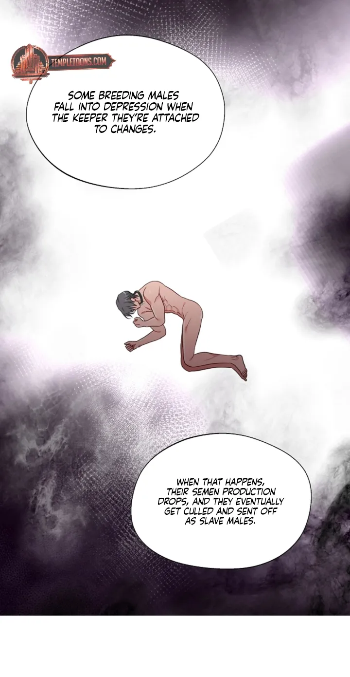 Chapter 12 - Image 26