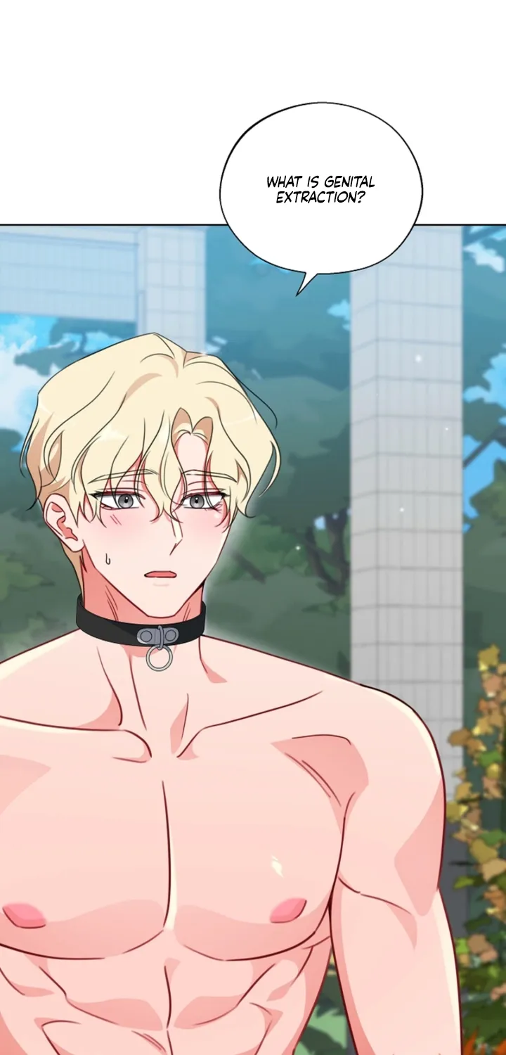 Chapter 15 - Image 11