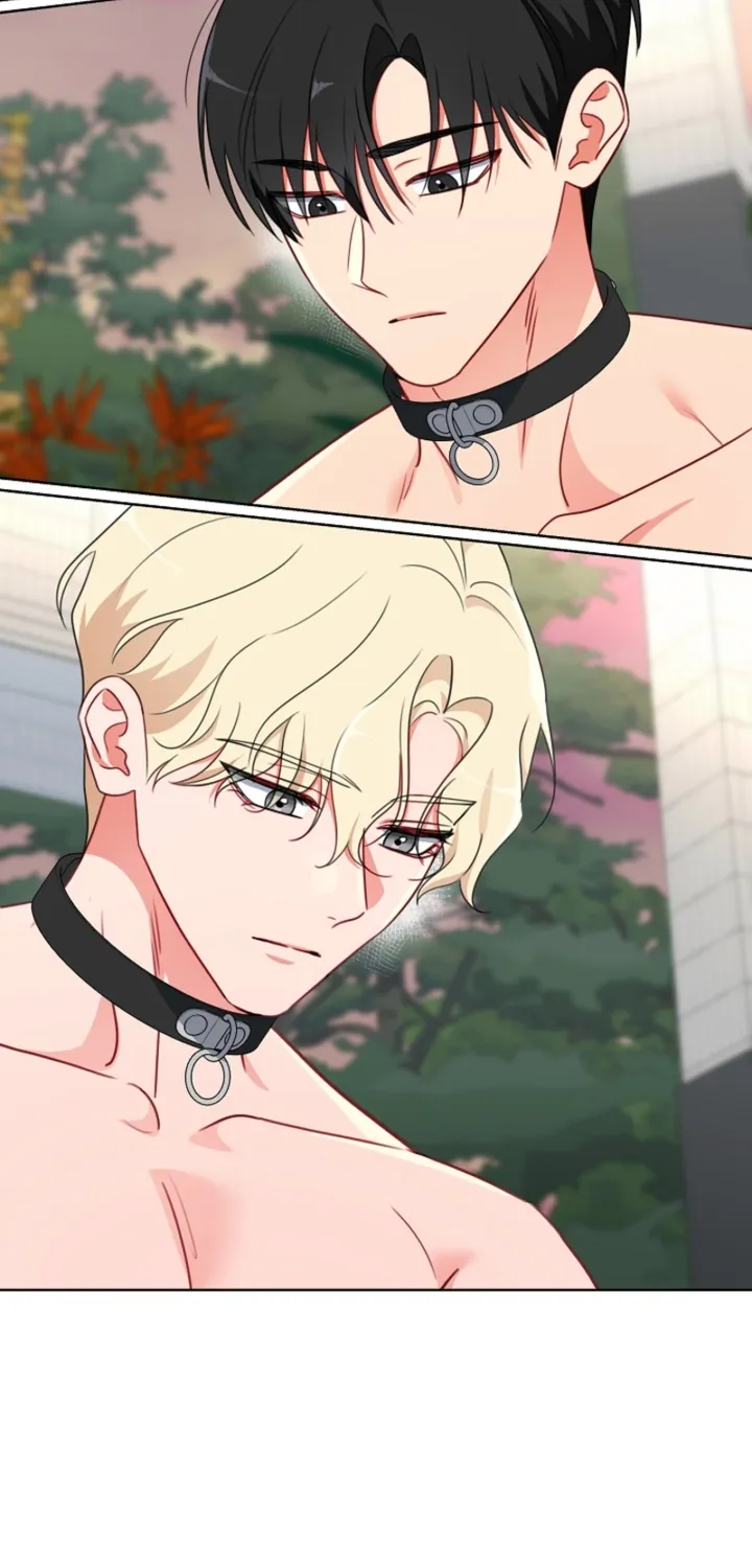 Chapter 15 - Image 29