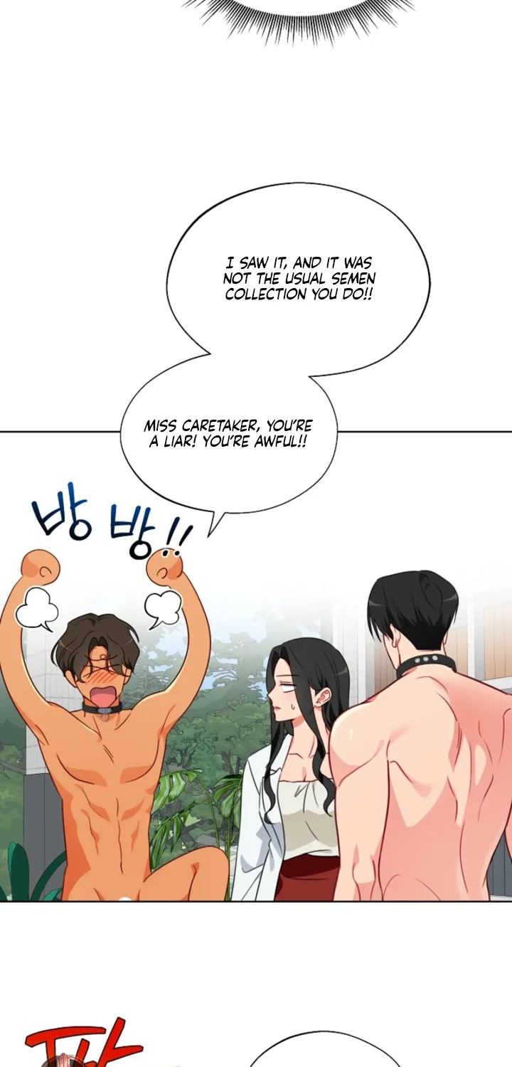 Chapter 15 - Image 6