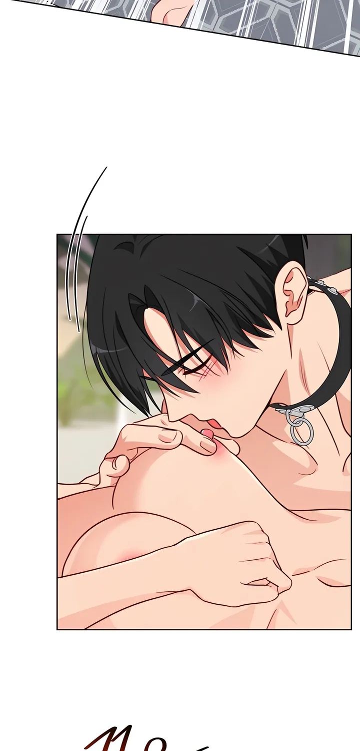 Chapter 16 - Image 4