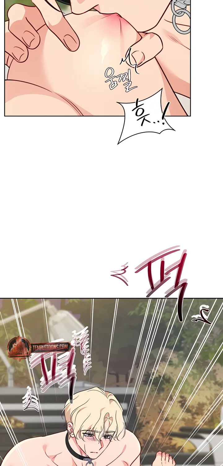 Chapter 16 - Image 6