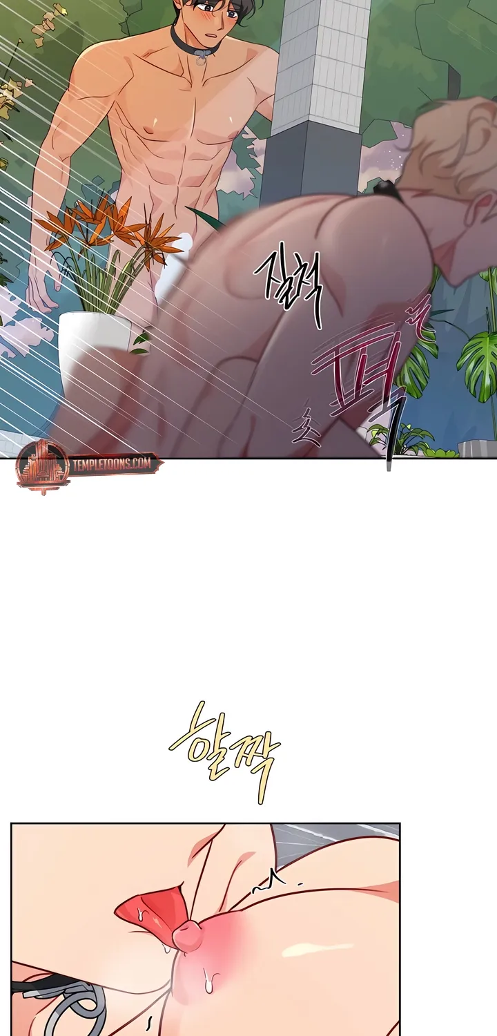 Chapter 16 - Image 9