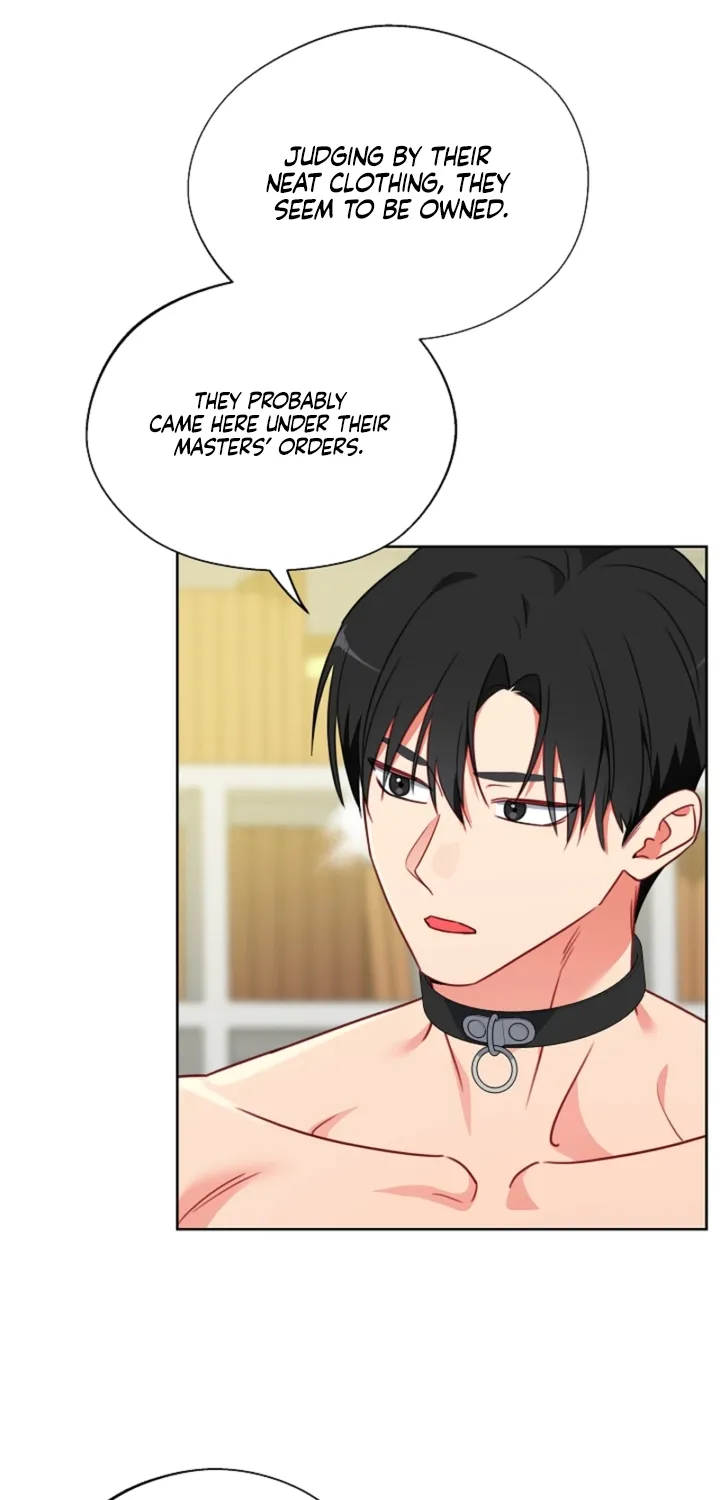 Chapter 17 - Image 28