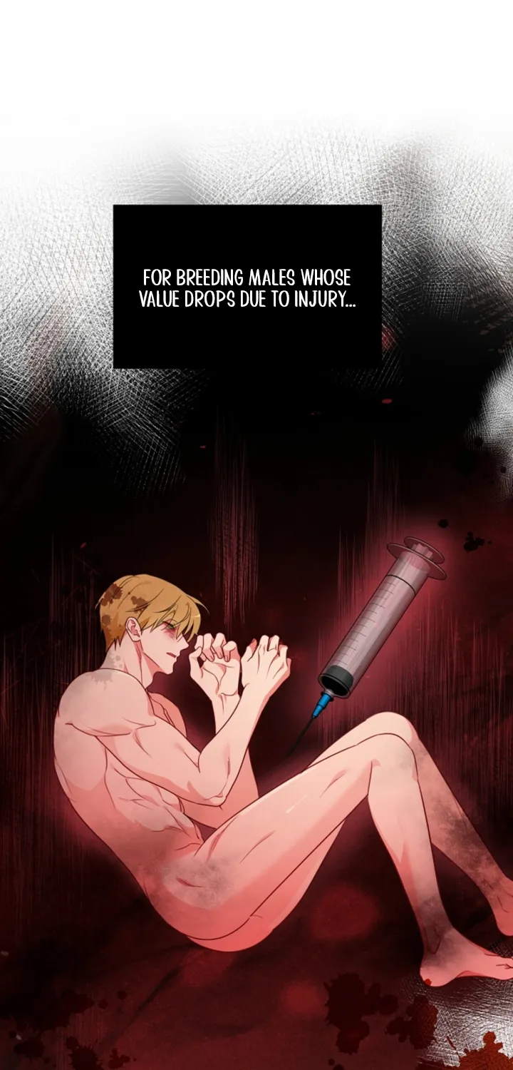 Chapter 17 - Image 46