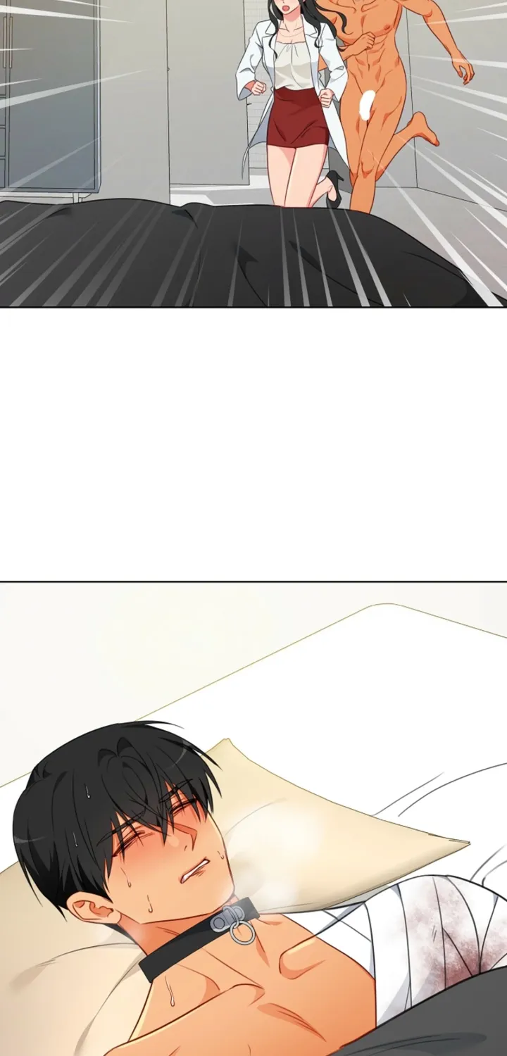 Chapter 17 - Image 67