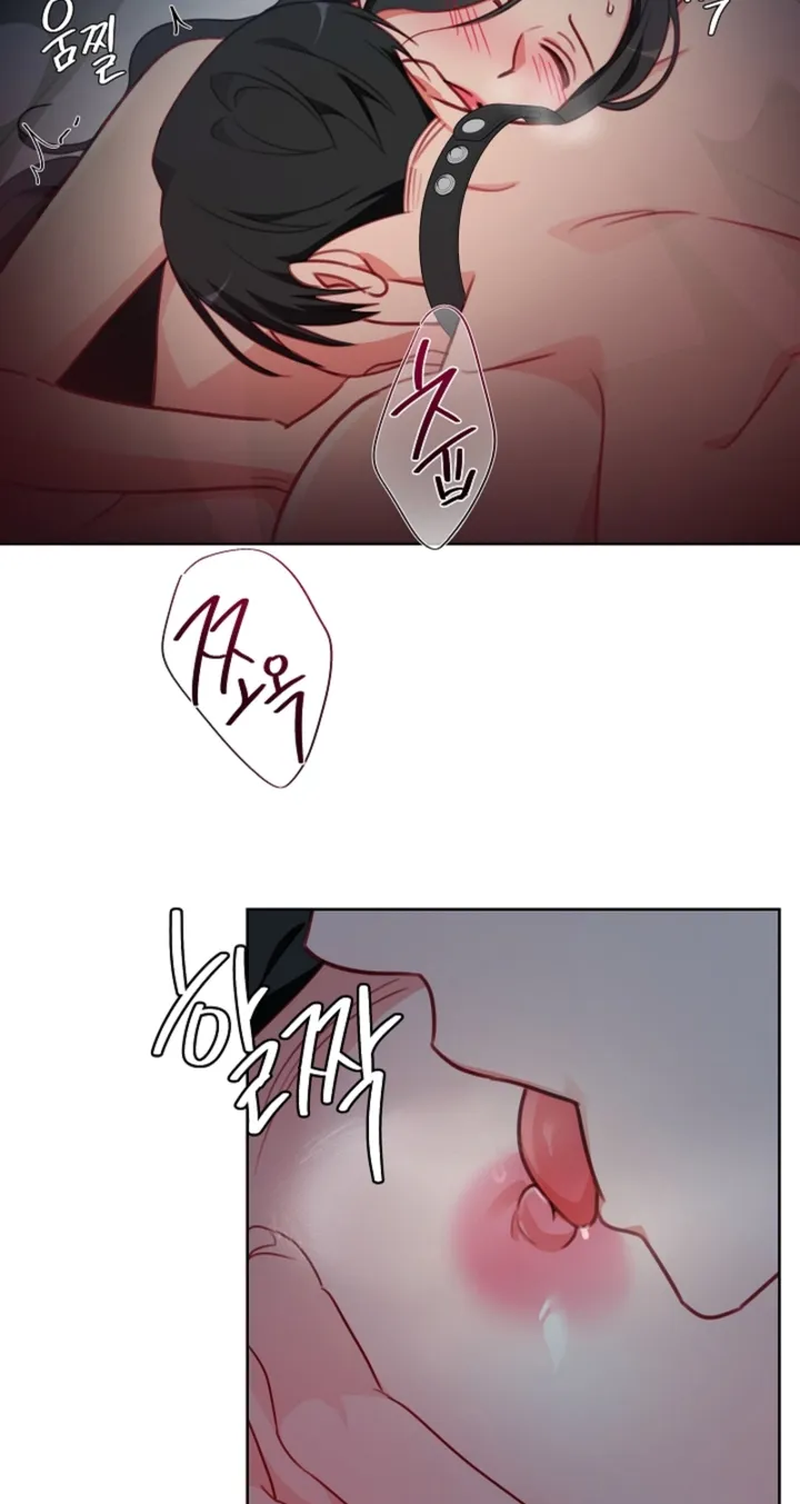 Chapter 19 - Image 20