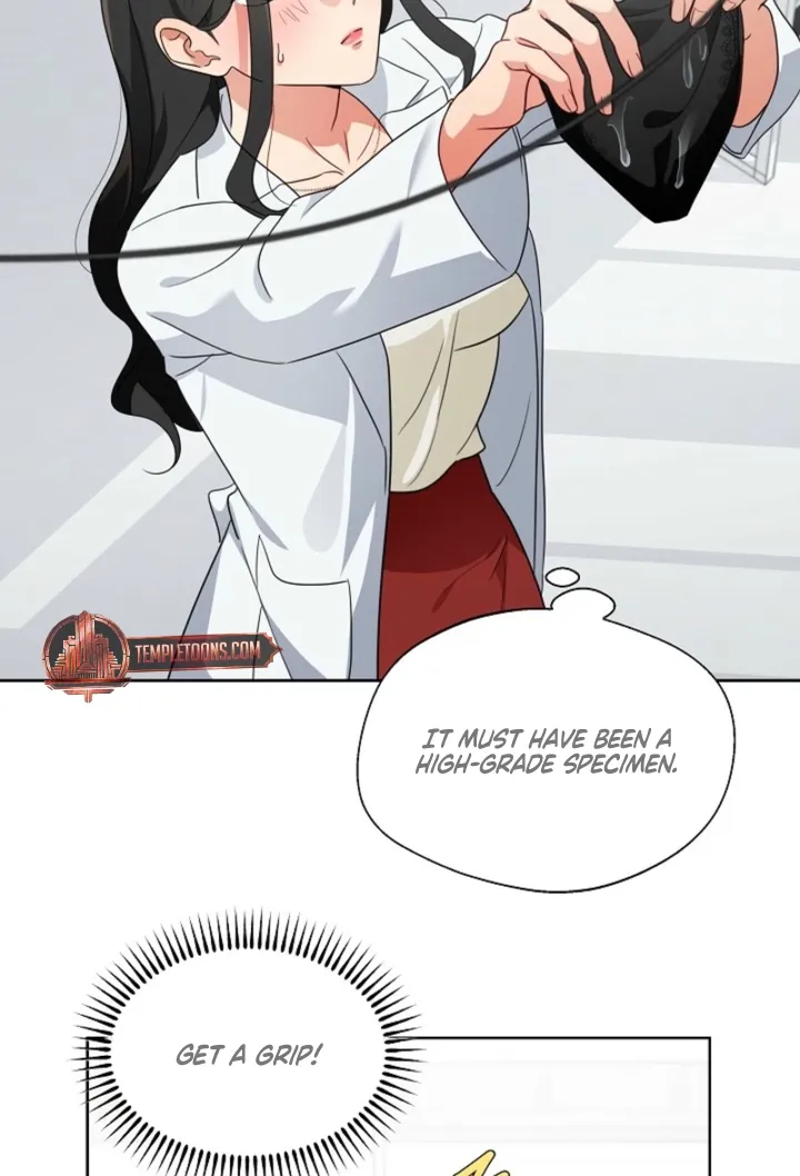 Chapter 2 - Image 12