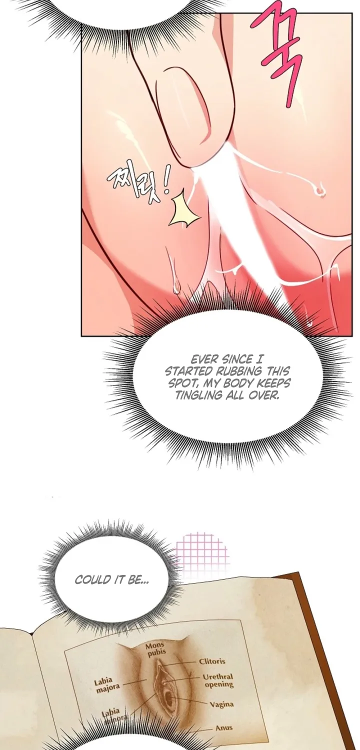 Chapter 2 - Image 21