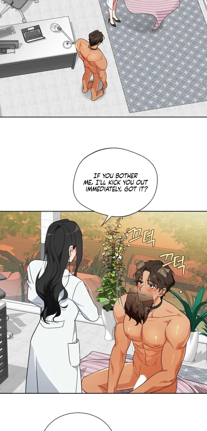 Chapter 2 - Image 34