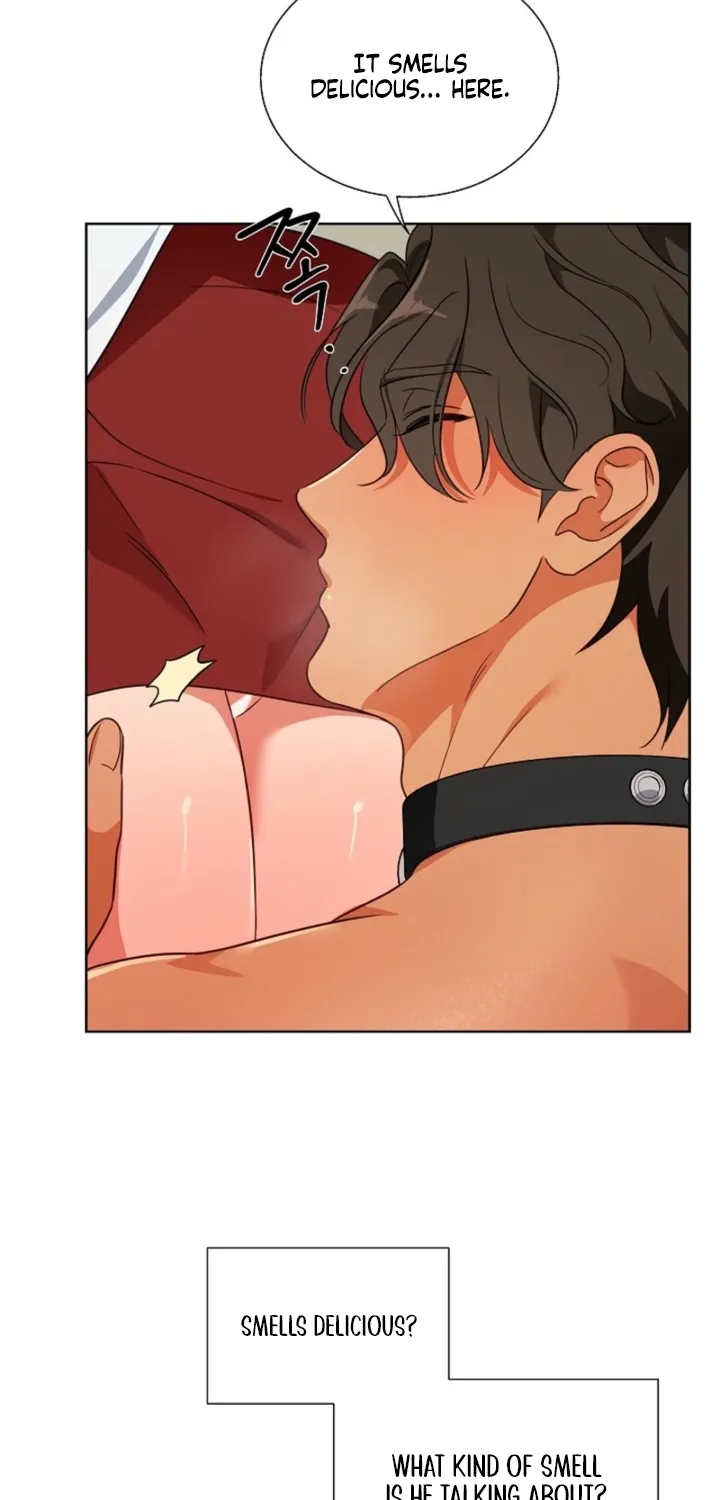 Chapter 2 - Image 71