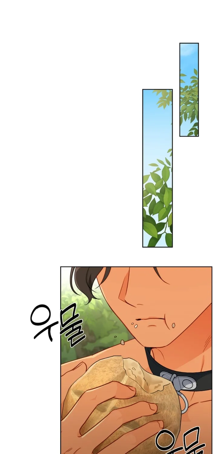 Chapter 20 - Image 46