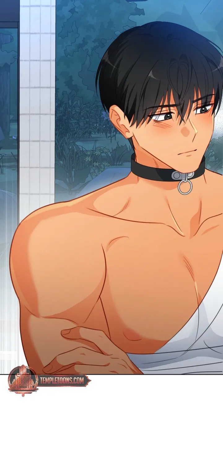 Chapter 21 - Image 15