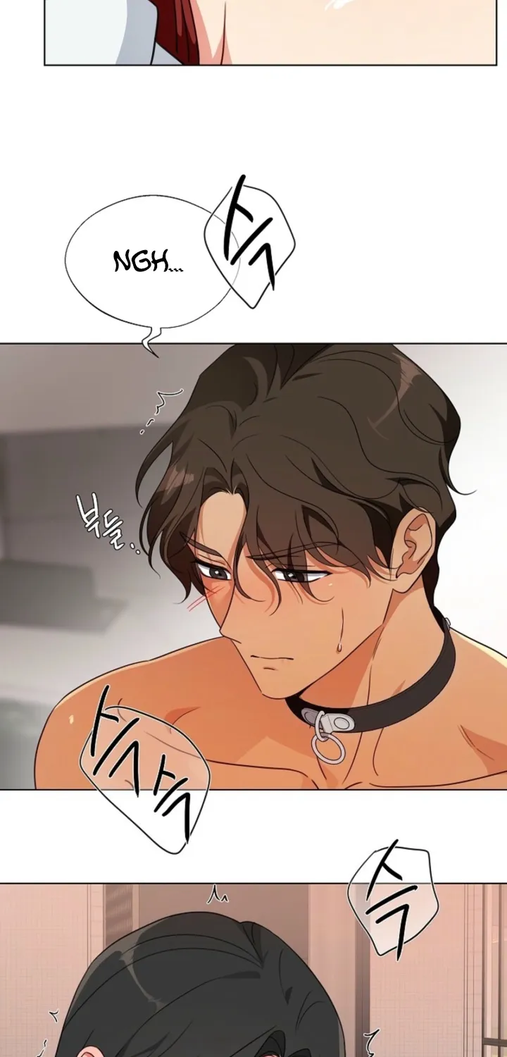 Chapter 3 - Image 12