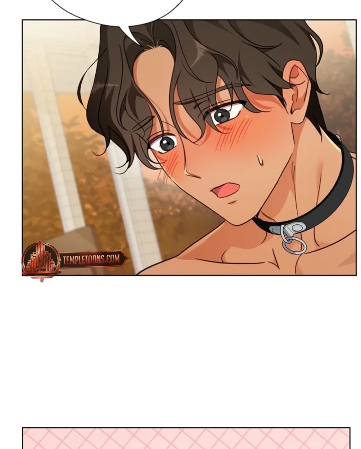 Chapter 3 - Image 46