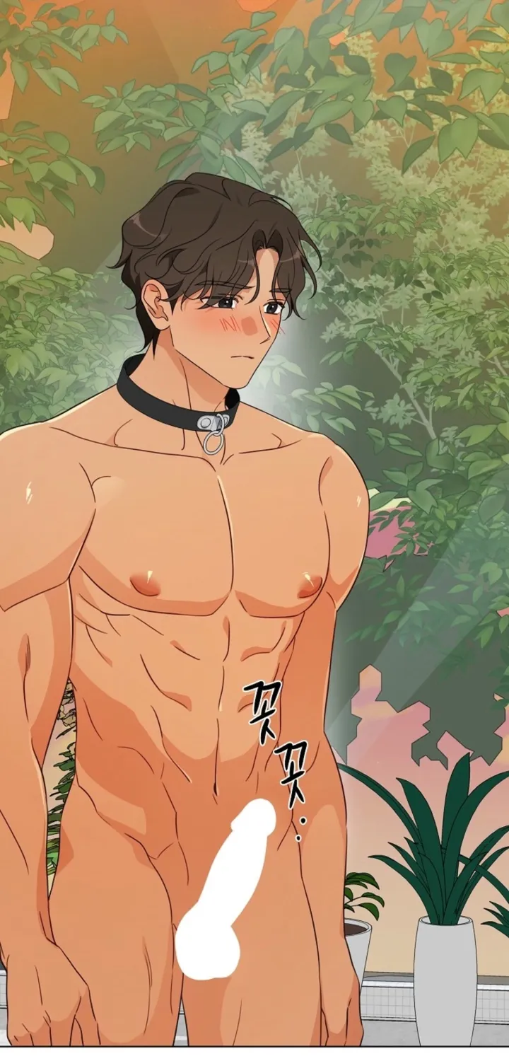 Chapter 4 - Image 16