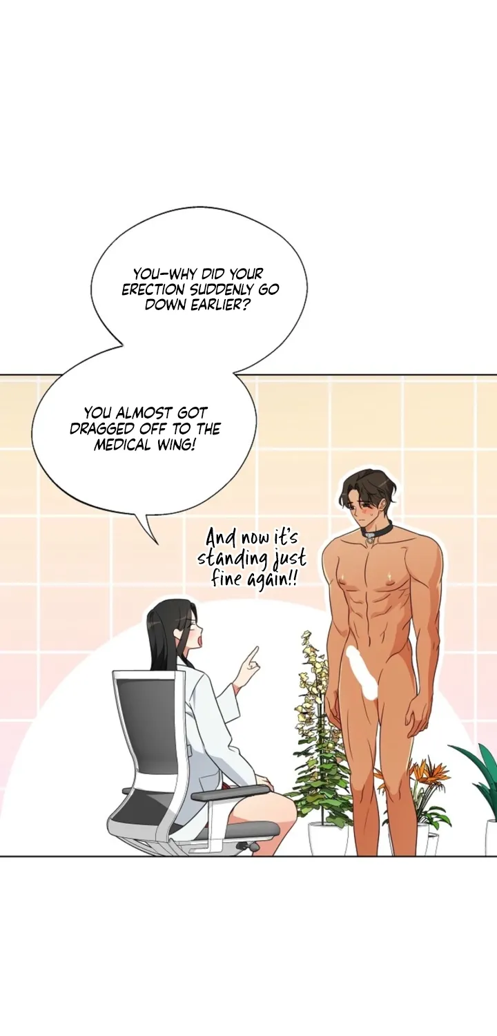 Chapter 4 - Image 36